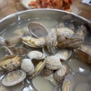 전라도 손팥칼국수 이미지