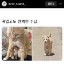 10월은 건강과 멘탈 챙기기💪