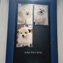 코노코노 동전노래연습장 이미지