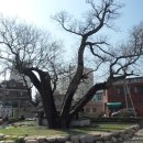 괴정1동-5 이미지