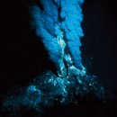 생명의 시작 이미지