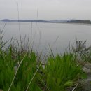 홀뫼민박 이미지