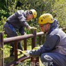 식산봉의 황근자생지 및 상록활엽수림 이미지