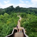 선사시대로 탐방 길(선사1코스) 이미지