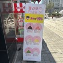 왕코미네탕후루위례점 | 큼지막한 과일, 얇은 설탕옷 과즙 팡팡 위례 신상 탕후루 맛집