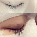 에스더속눈썹 이미지