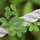 부동산중개사람 이미지