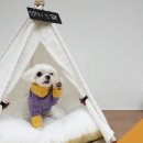스테이101 이미지
