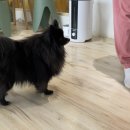 마리앤쥬 이미지