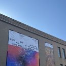 덕수궁길 | [서울/전시] 서울시립미술관 서소문 본관 | 시청역 | 가을단풍길(덕수궁길) | 전시 후기