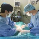 대관령동물병원 이미지