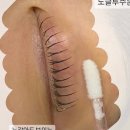 수원-1781 네이버블로그