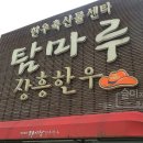 [장흥] 탐마루장흥한우 메뉴 및 가격 후기 (고기를 직접 골라 먹는 장흥삼합맛집 추천)