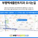 백세치과의원 이미지