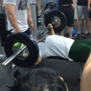 나무 휘트니스 이미지