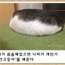 한성컴퓨터회계학원 네이버블로그