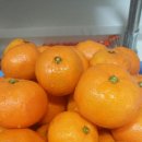 월정농장 Daum카페