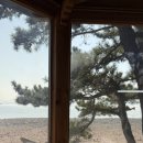 황가네김 이미지