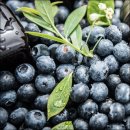 협동조합 오성 이미지