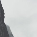 인술농장 네이버블로그