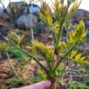 억대농장 이미지