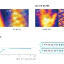 에이스침대잠실석촌