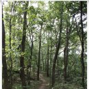 백련산농장 | [20161001]'영종도(건강백년길-백련산-백운산-백운산둘레길) 걷기 &amp; 2016 드림파크 가을나들이 행사'에...