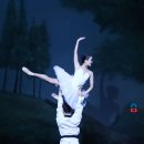 LED비바츠 태권발레 이미지