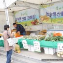 첩첩산중님이 정선에서 직접 가져온 두릅,곰취,곤드레,어수리 나물 이미지