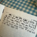 셀르네일 | 27