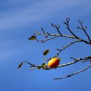 동백장모텔 이미지