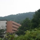 H9342 Daum카페