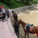 산청승마장 | (승마)보는 것과 직접 해보는 것이 너무나도 다른 말타기 체험
