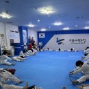 푸르른 태권도장 이미지