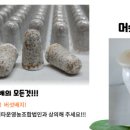 기능성머쉬영농조합법인 이미지