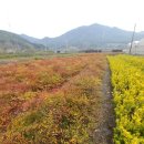 남부농원 이미지