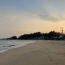 그로브동산 이미지