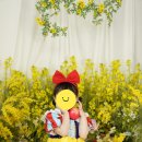 스튜디오 원더랜드 아기 사진 촬영 세 돌 촬영 후기 대만족:-)