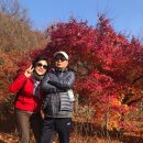 가을여행 이미지