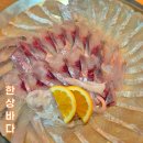 한상바다 | 대구 이시아폴리스 가족외식 횟집단골솔직후기 한상바다 봉무본점