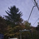 소백산 남천야영장2 | 소백산 남천 야영장에서 2