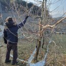 건이네 농장 이미지