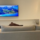 박앤박의원 이미지