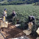 어상천면사무소 이미지