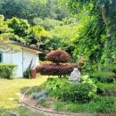 민주공인중개사사무소 이미지