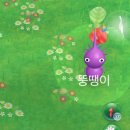 11 월 입네까 , , ?