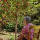 마산시니어카운티 네이버블로그
