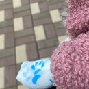 만세동물병원 이미지