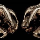 라비앙성형외과의원 이미지