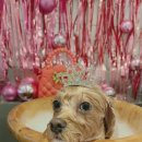 온블리살롱 이미지